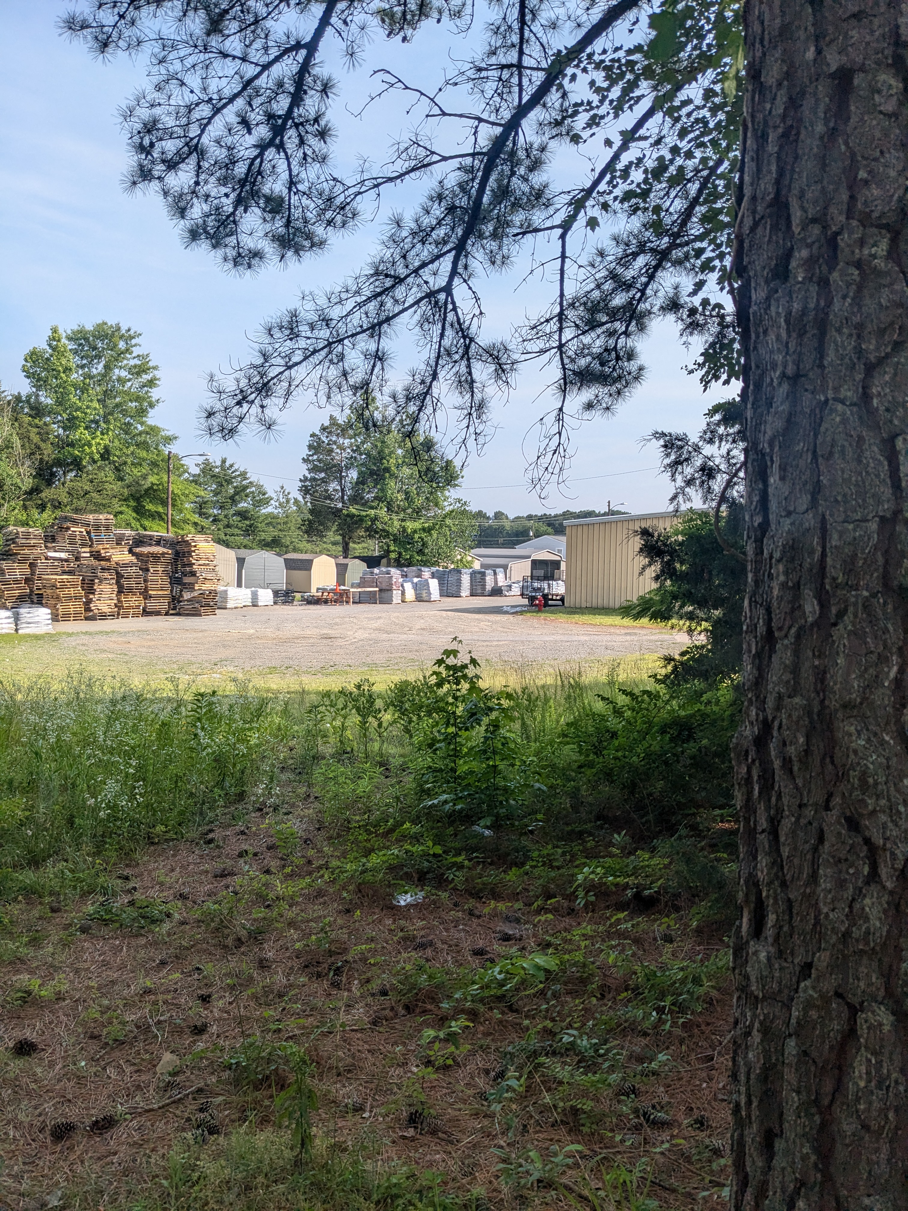 behind the store