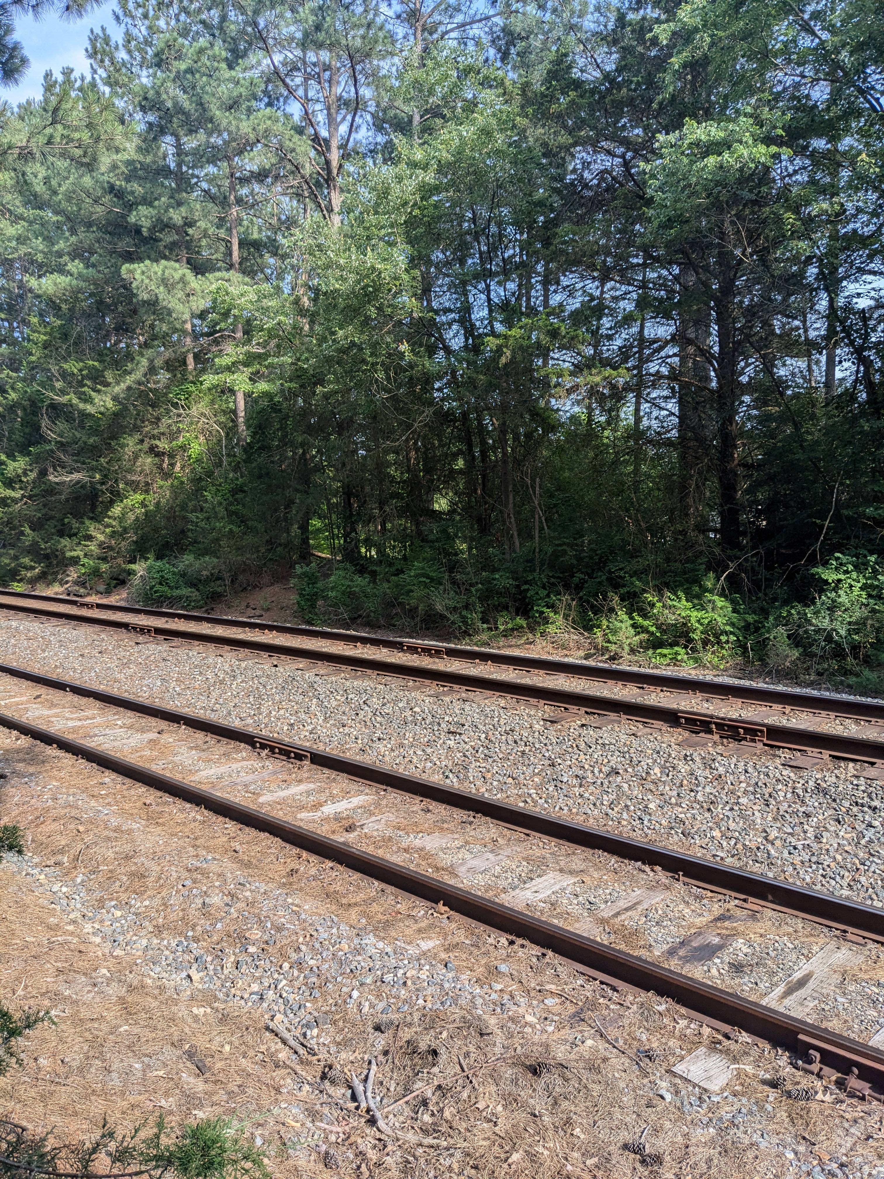 railroad tracks